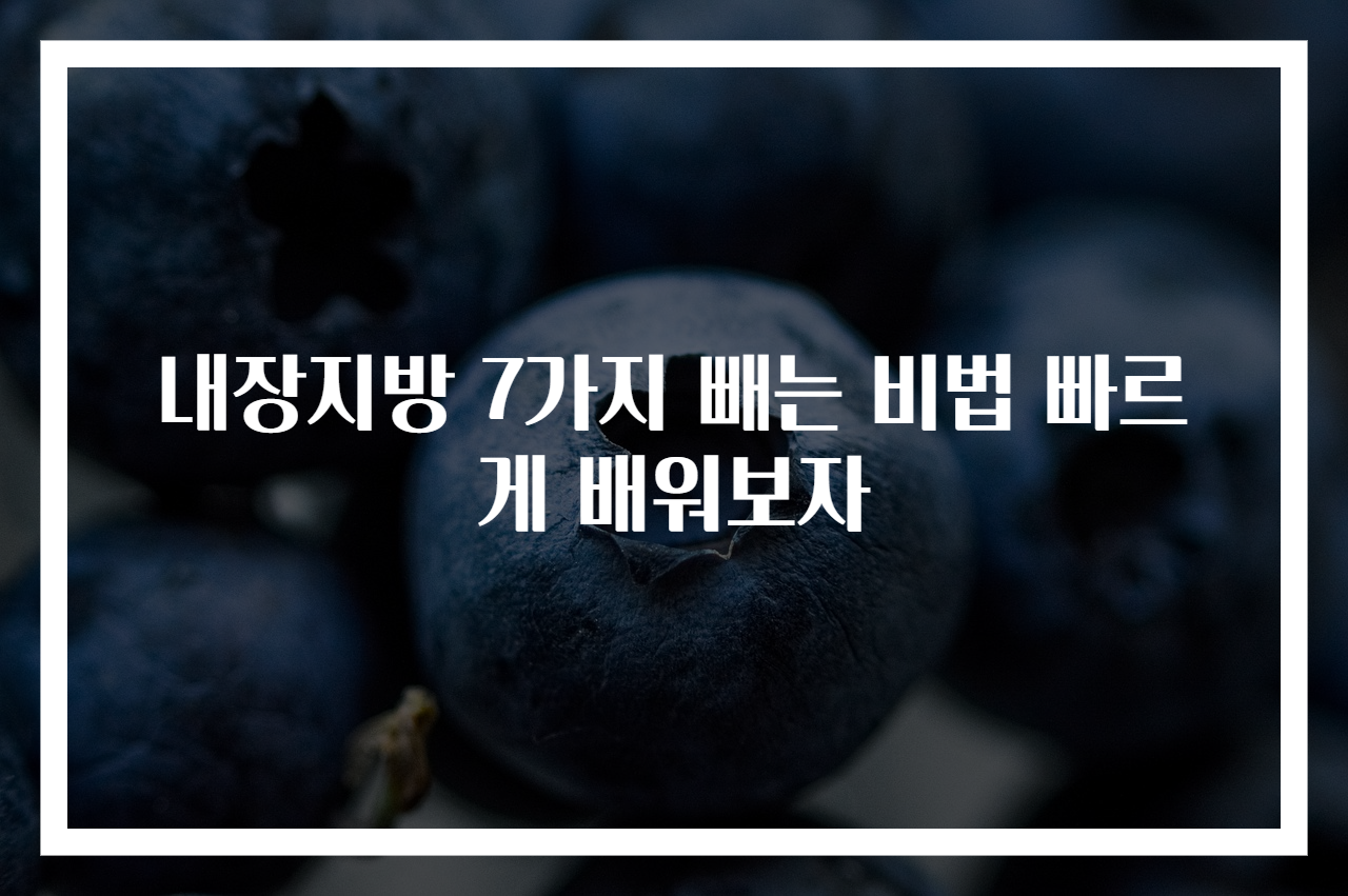 내장지방 7가지 빼는 비법 빠르게 배워보자