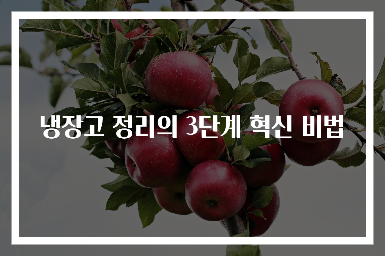 냉장고 정리의 3단계 혁신 비법