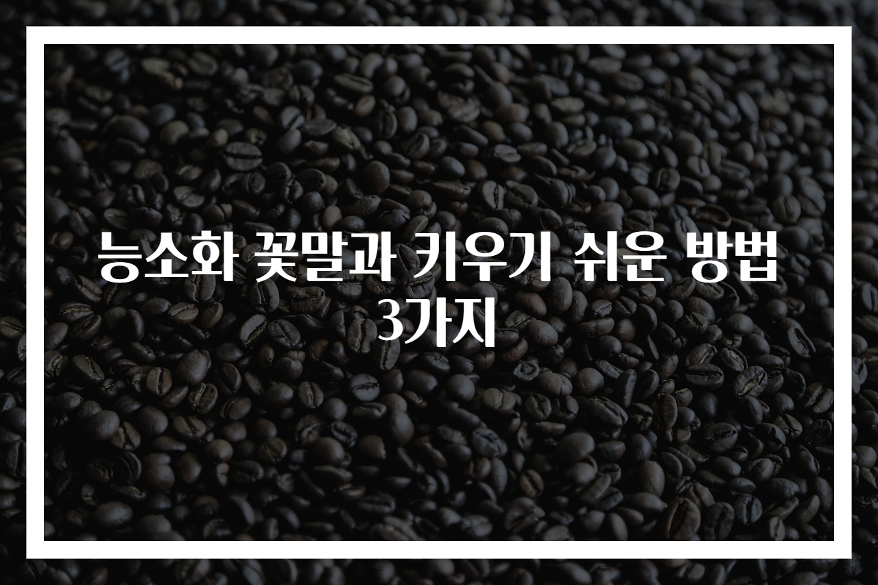 능소화 꽃말과 키우기 쉬운 방법 3가지