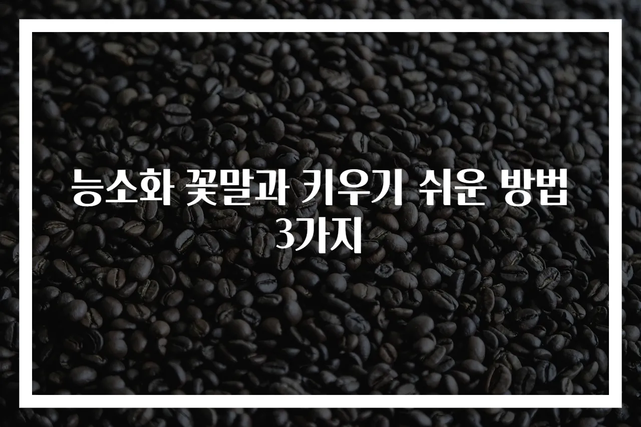 능소화 꽃말과 키우기 쉬운 방법 3가지