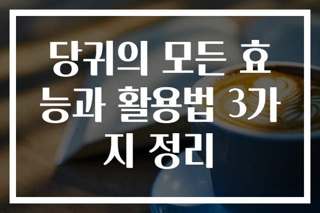 당귀의 모든 효능과 활용법 3가지 정리