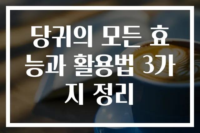 당귀의 모든 효능과 활용법 3가지 정리