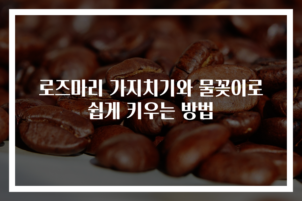 로즈마리 가지치기와 물꽂이로 쉽게 키우는 방법