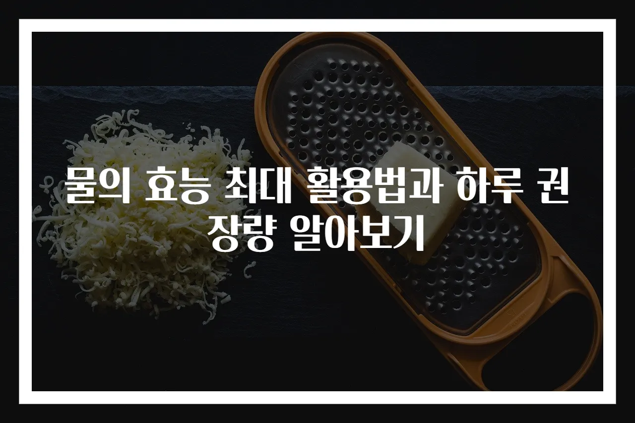 물의 효능 최대 활용법과 하루 권장량 알아보기