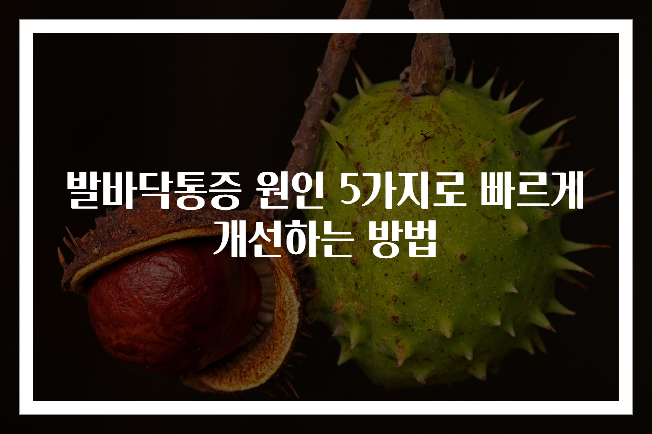 발바닥통증 원인 5가지로 빠르게 개선하는 방법