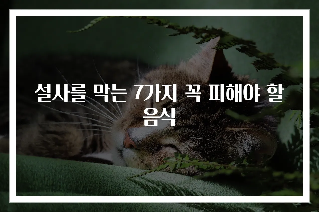 설사를 막는 7가지 꼭 피해야 할 음식
