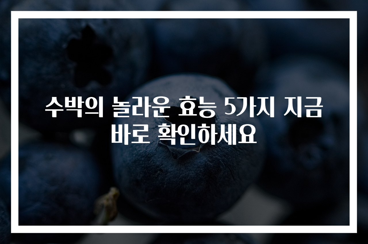 수박의 놀라운 효능 5가지 지금 바로 확인하세요