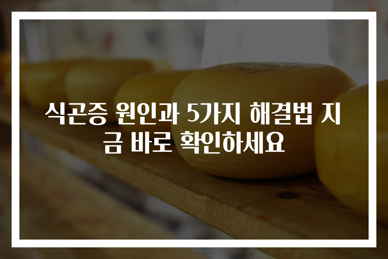 식곤증 원인과 5가지 해결법 지금 바로 확인하세요