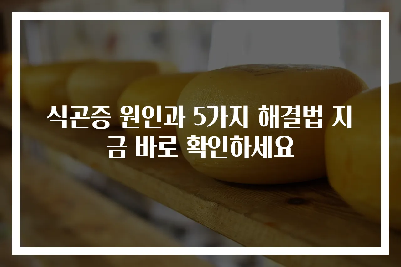 식곤증 원인과 5가지 해결법 지금 바로 확인하세요