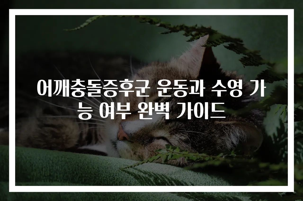 어깨충돌증후군 운동과 수영 가능 여부 완벽 가이드
