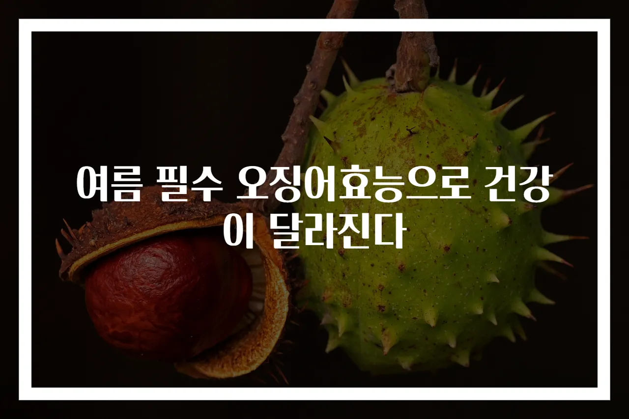 여름 필수 오징어효능으로 건강이 달라진다