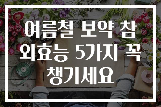 여름철 보약 참외효능 5가지 꼭 챙기세요