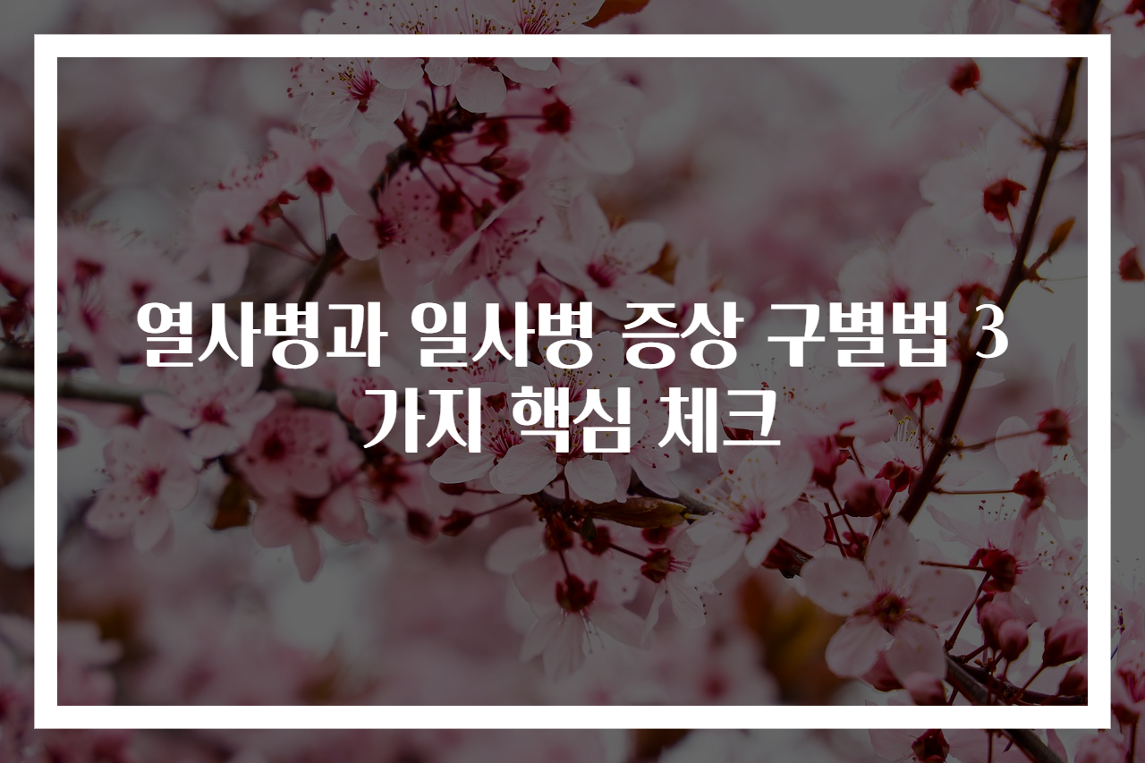 열사병과 일사병 증상 구별법 3가지 핵심 체크
