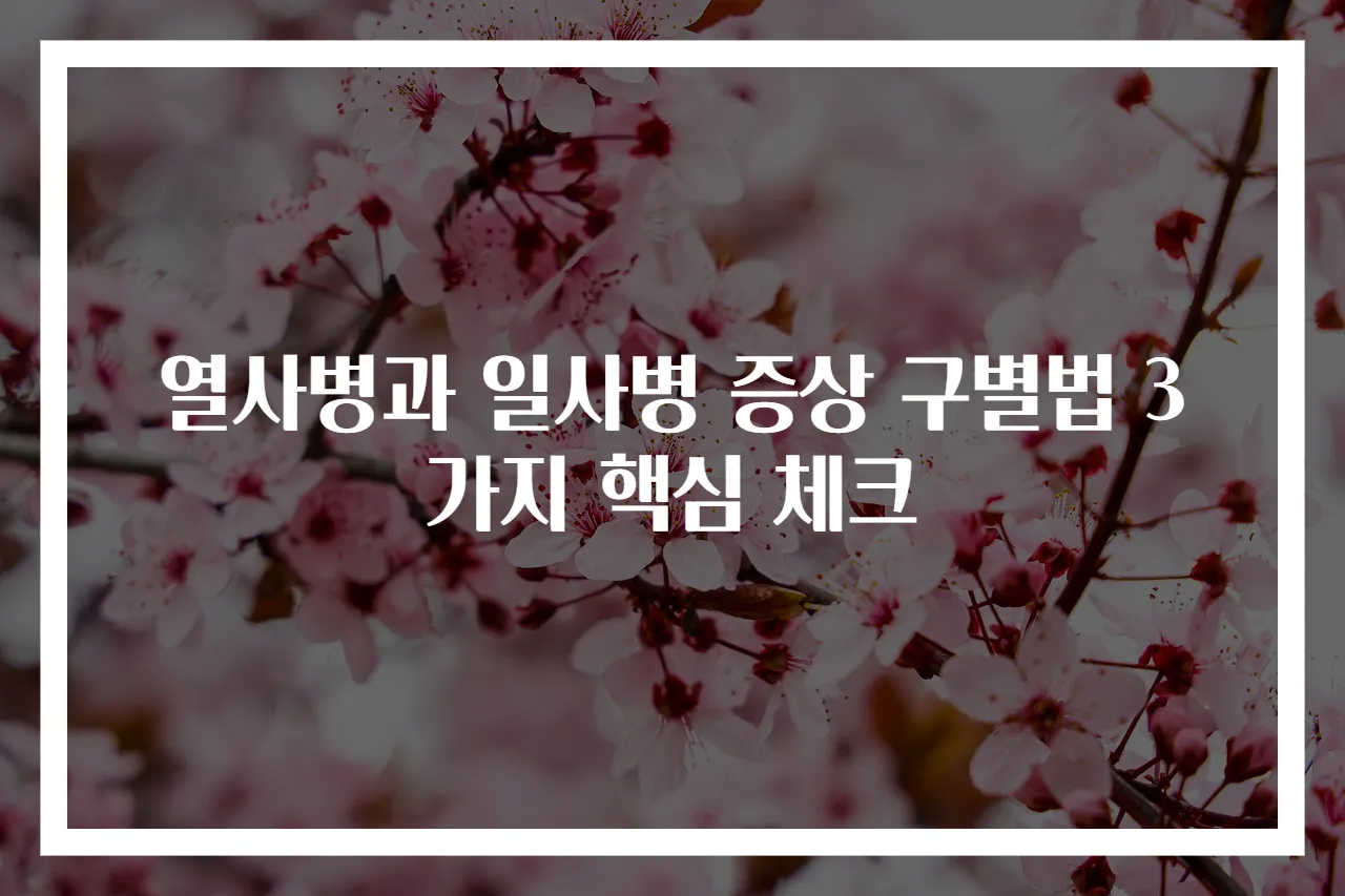 열사병과 일사병 증상 구별법 3가지 핵심 체크