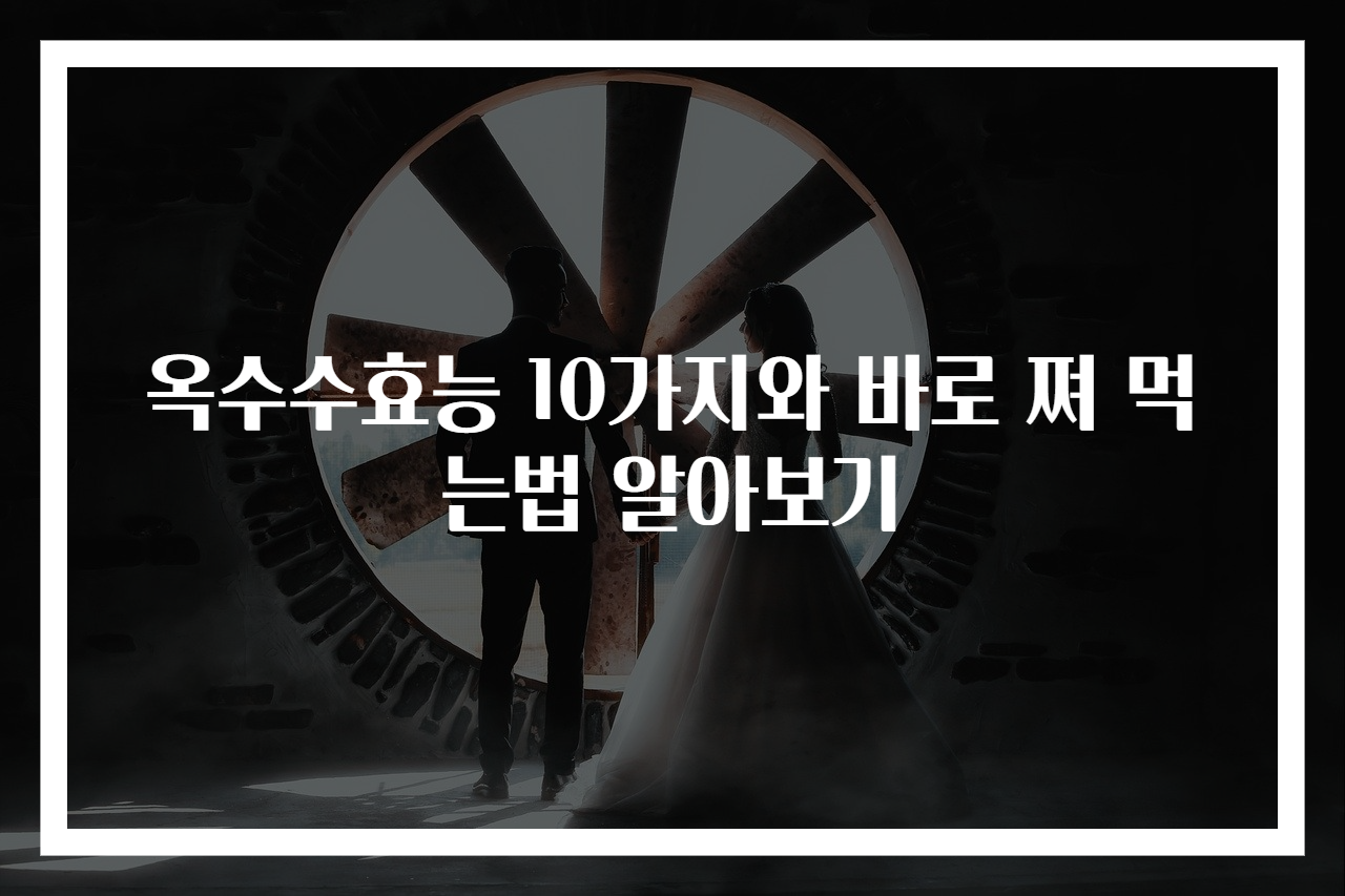 옥수수효능 10가지와 바로 쪄 먹는법 알아보기