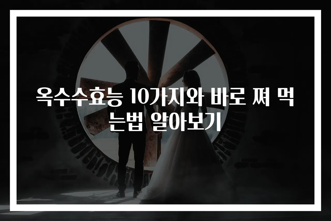 옥수수효능 10가지와 바로 쪄 먹는법 알아보기