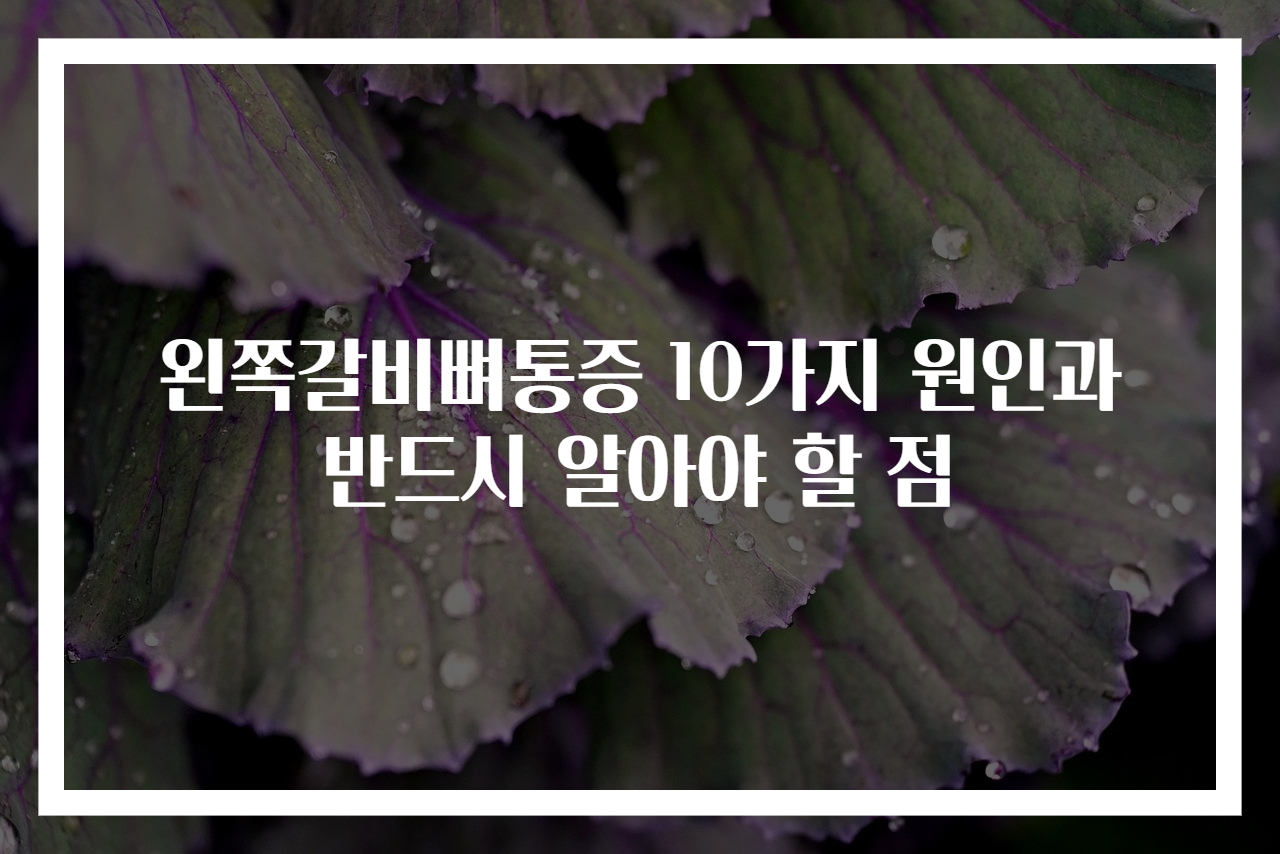 왼쪽갈비뼈통증 10가지 원인과 반드시 알아야 할 점