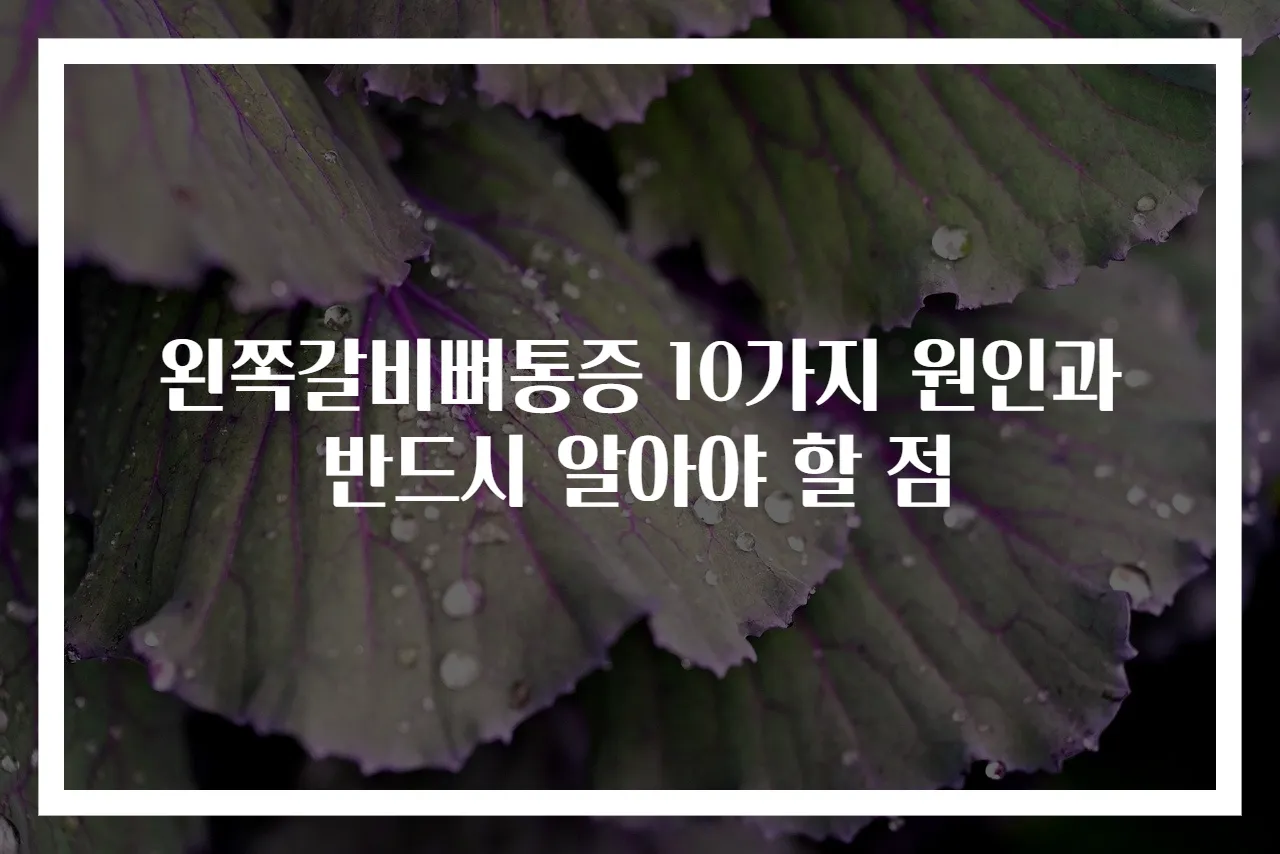 왼쪽갈비뼈통증 10가지 원인과 반드시 알아야 할 점