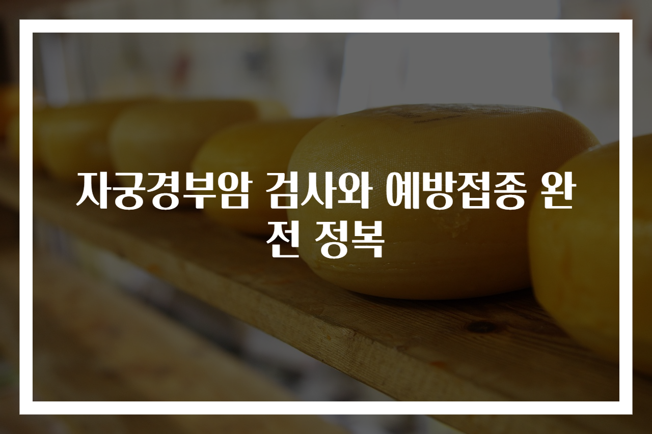 자궁경부암 검사와 예방접종 완전 정복