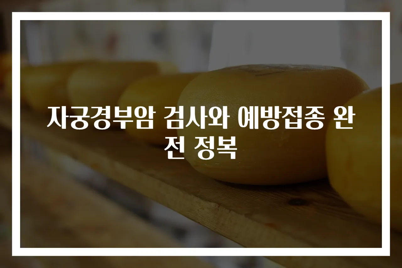 자궁경부암 검사와 예방접종 완전 정복
