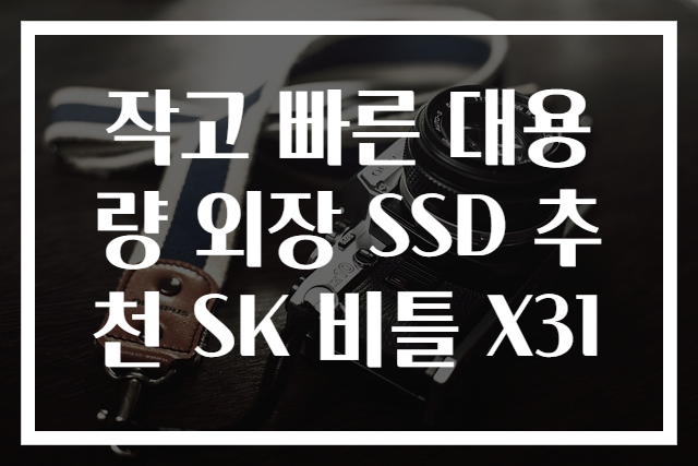 작고 빠른 대용량 외장 SSD 추천 SK 비틀 X31