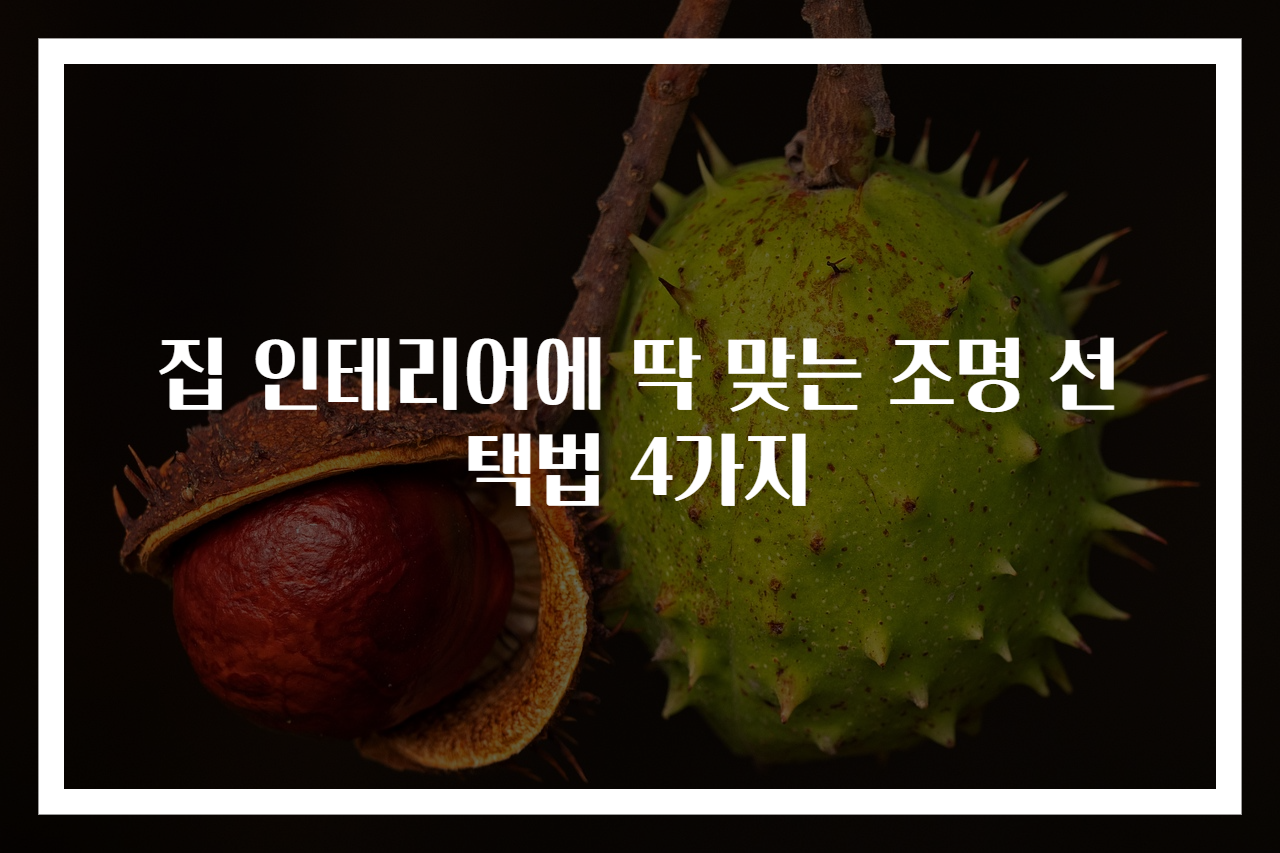 집 인테리어에 딱 맞는 조명 선택법 4가지