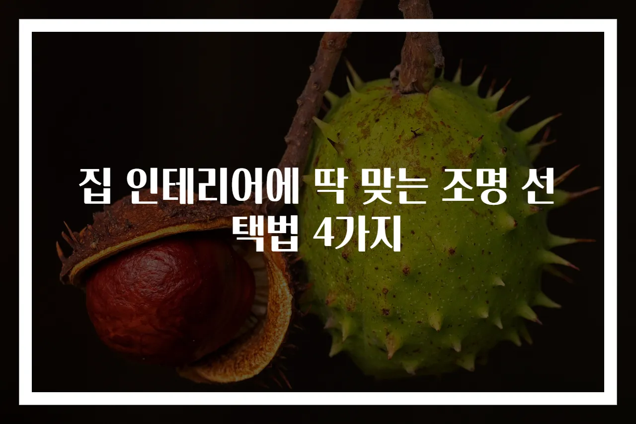 집 인테리어에 딱 맞는 조명 선택법 4가지