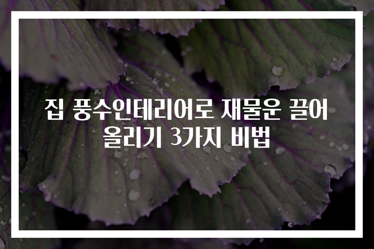 집 풍수인테리어로 재물운 끌어올리기 3가지 비법