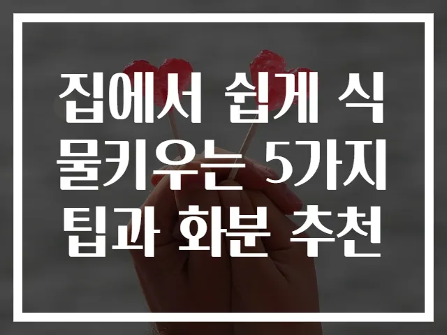 집에서 쉽게 식물키우는 5가지 팁과 화분 추천