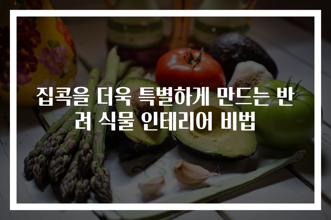집콕을 더욱 특별하게 만드는 반려 식물 인테리어 비법