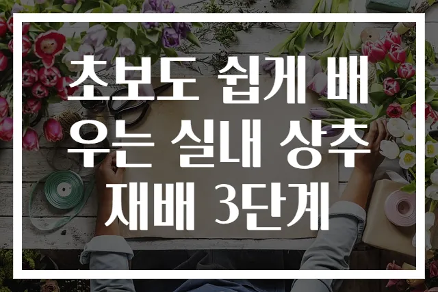 초보도 쉽게 배우는 실내 상추 재배 3단계