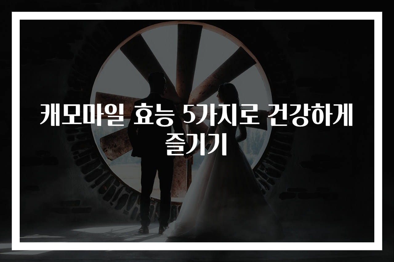 캐모마일 효능 5가지로 건강하게 즐기기
