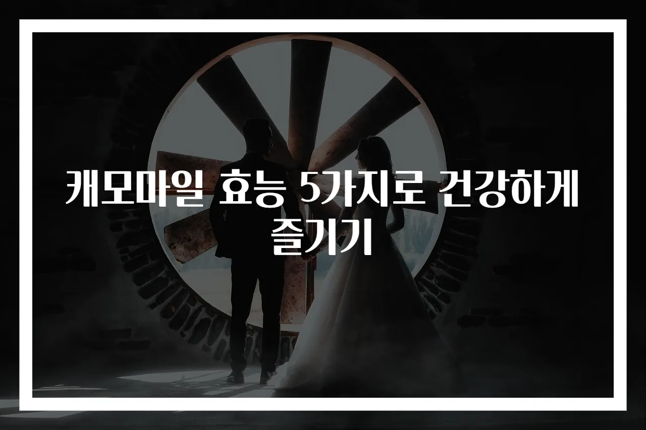 캐모마일 효능 5가지로 건강하게 즐기기