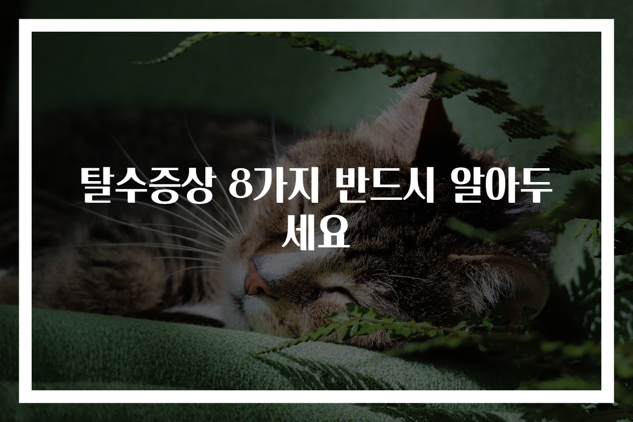 탈수증상 8가지 반드시 알아두세요
