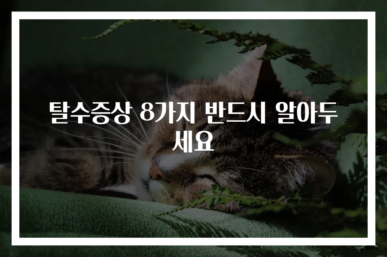 탈수증상 8가지 반드시 알아두세요