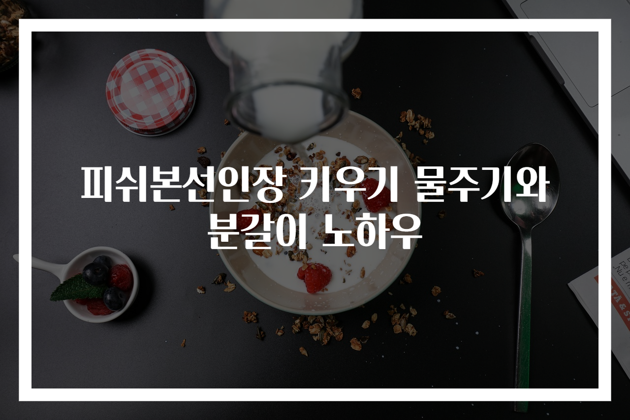 피쉬본선인장 키우기 물주기와 분갈이 노하우