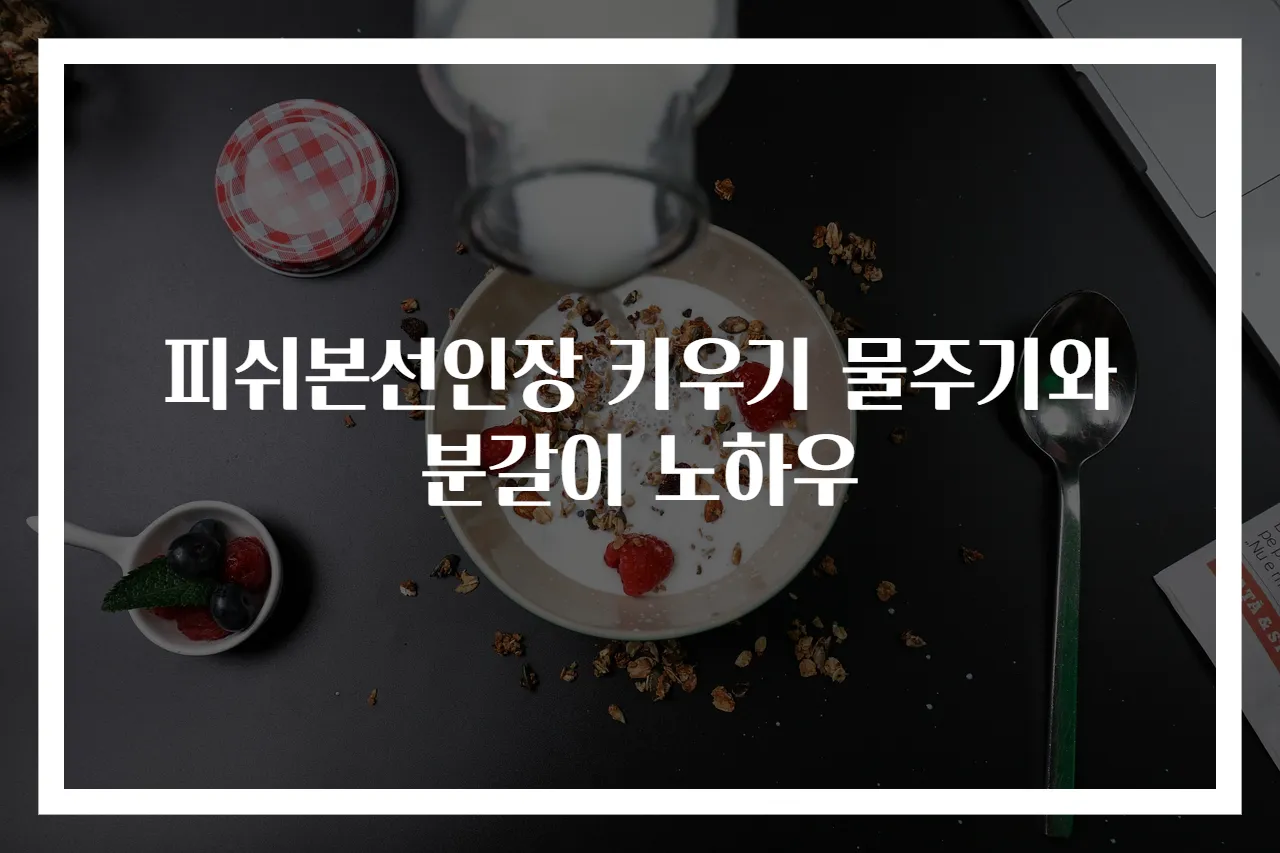 피쉬본선인장 키우기 물주기와 분갈이 노하우