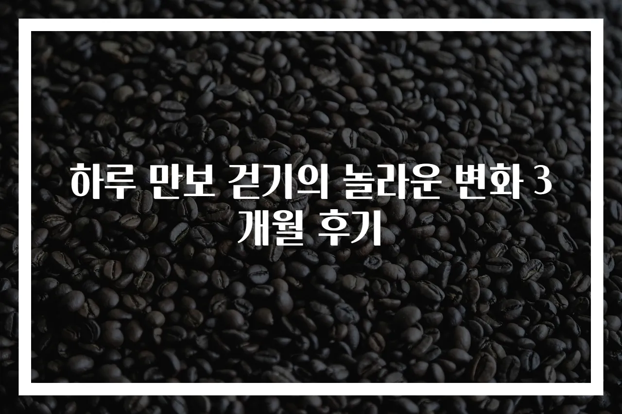 하루 만보 걷기의 놀라운 변화 3개월 후기