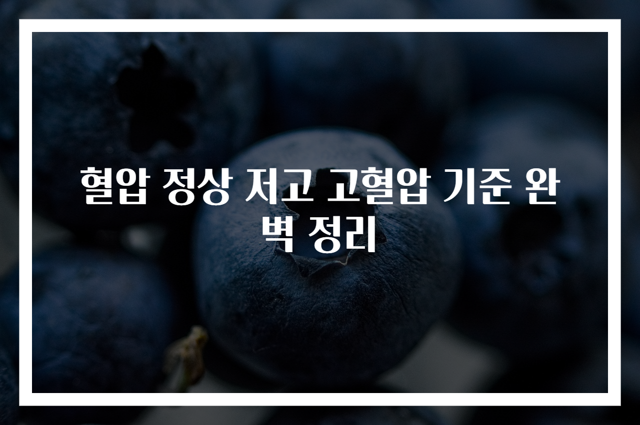 혈압 정상 저고 고혈압 기준 완벽 정리