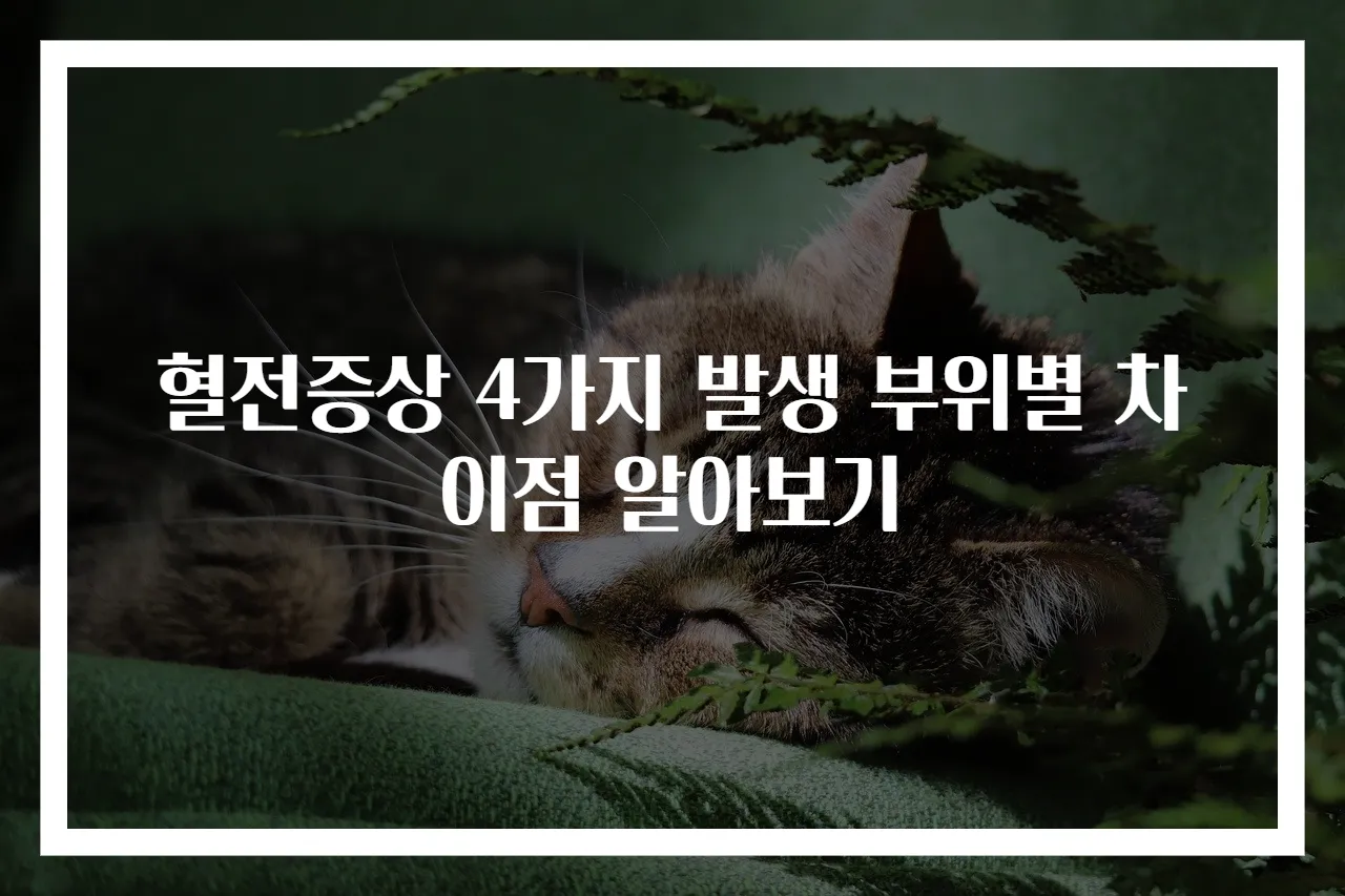 혈전증상 4가지 발생 부위별 차이점 알아보기