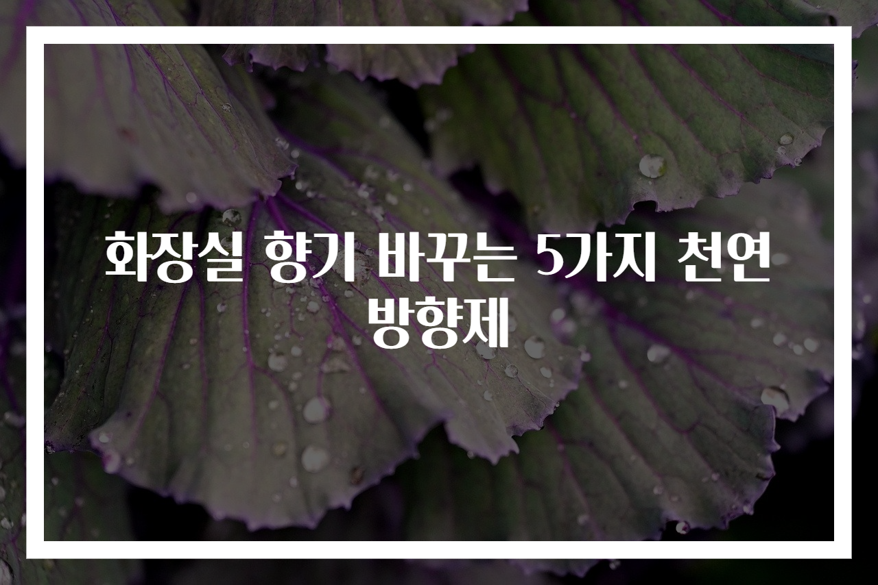 화장실 향기 바꾸는 5가지 천연방향제