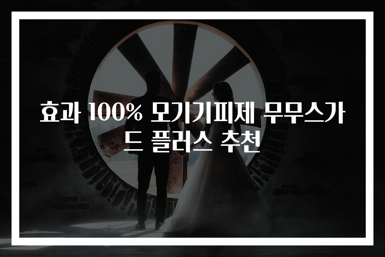 효과 100% 모기기피제 무무스가드 플러스 추천