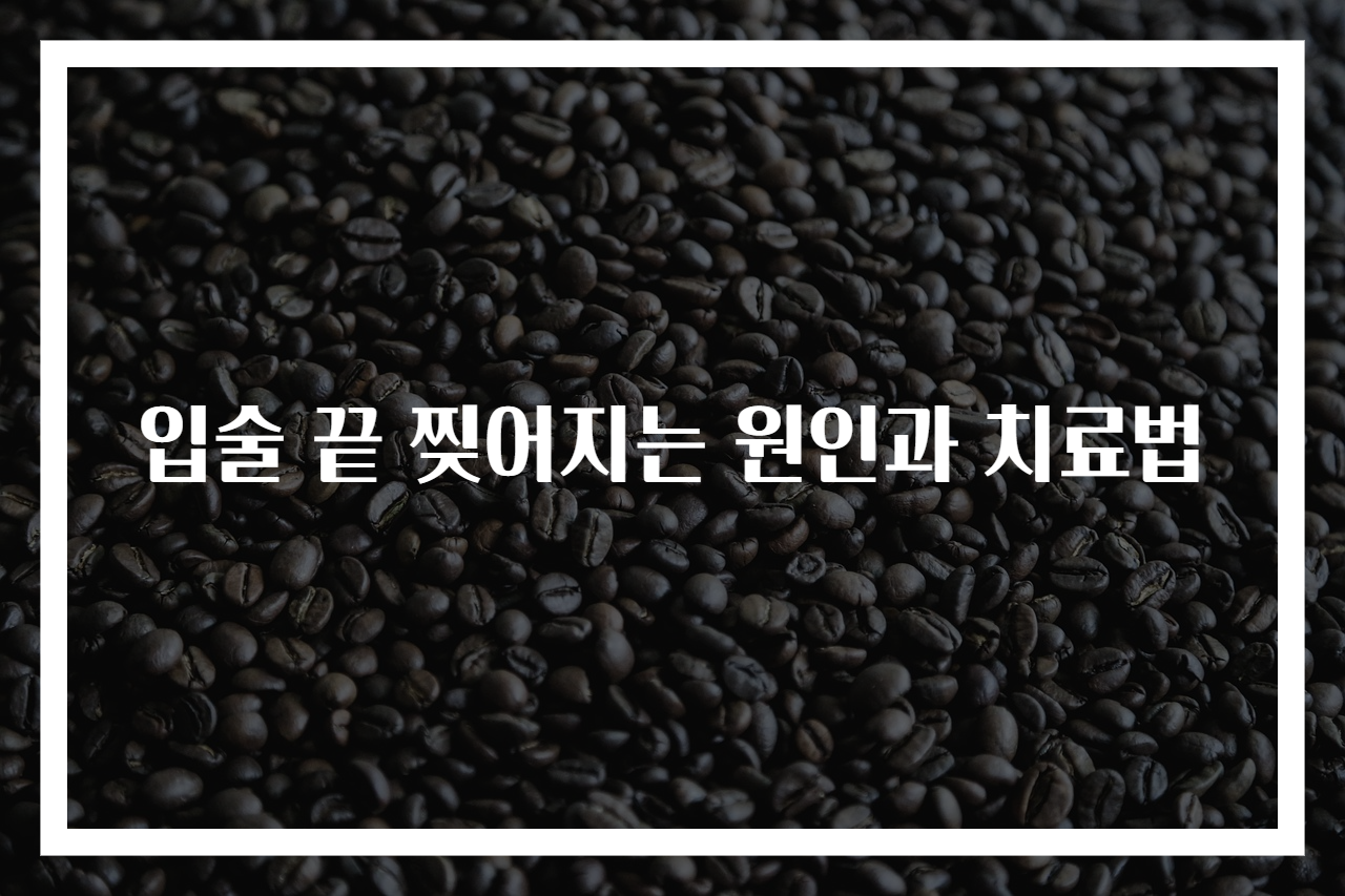 입술 끝 찢어지는 원인과 치료법 - 아드웹백 지식창고