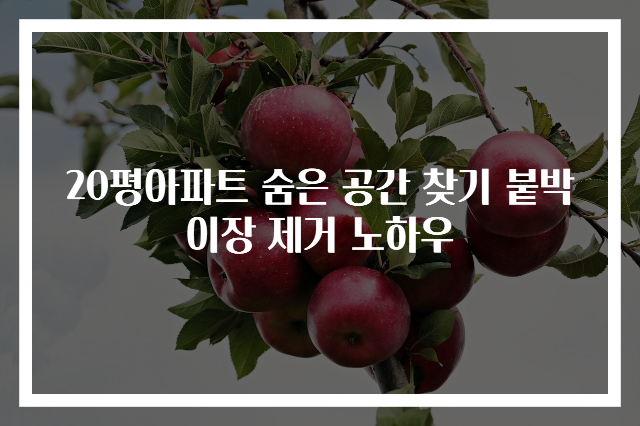 20평아파트 숨은 공간 찾기 붙박이장 제거 노하우