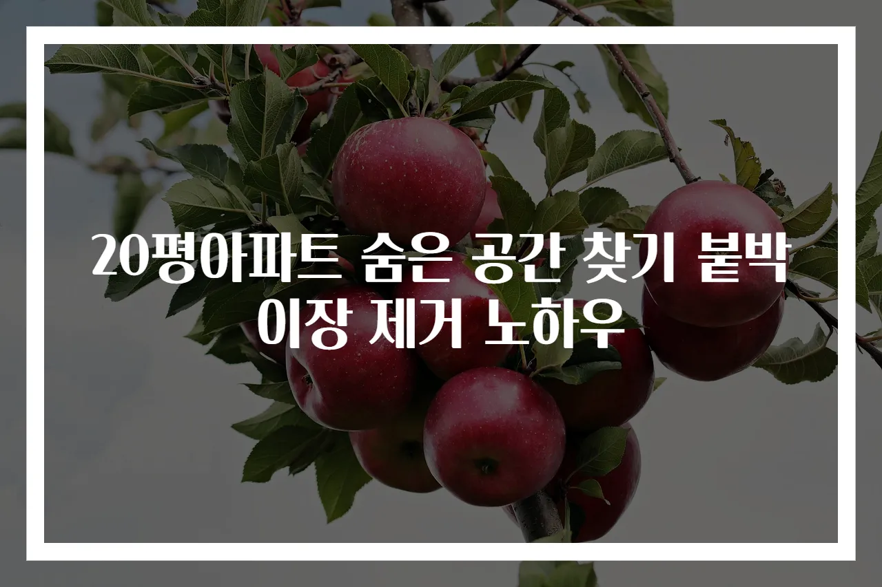 20평아파트 숨은 공간 찾기 붙박이장 제거 노하우