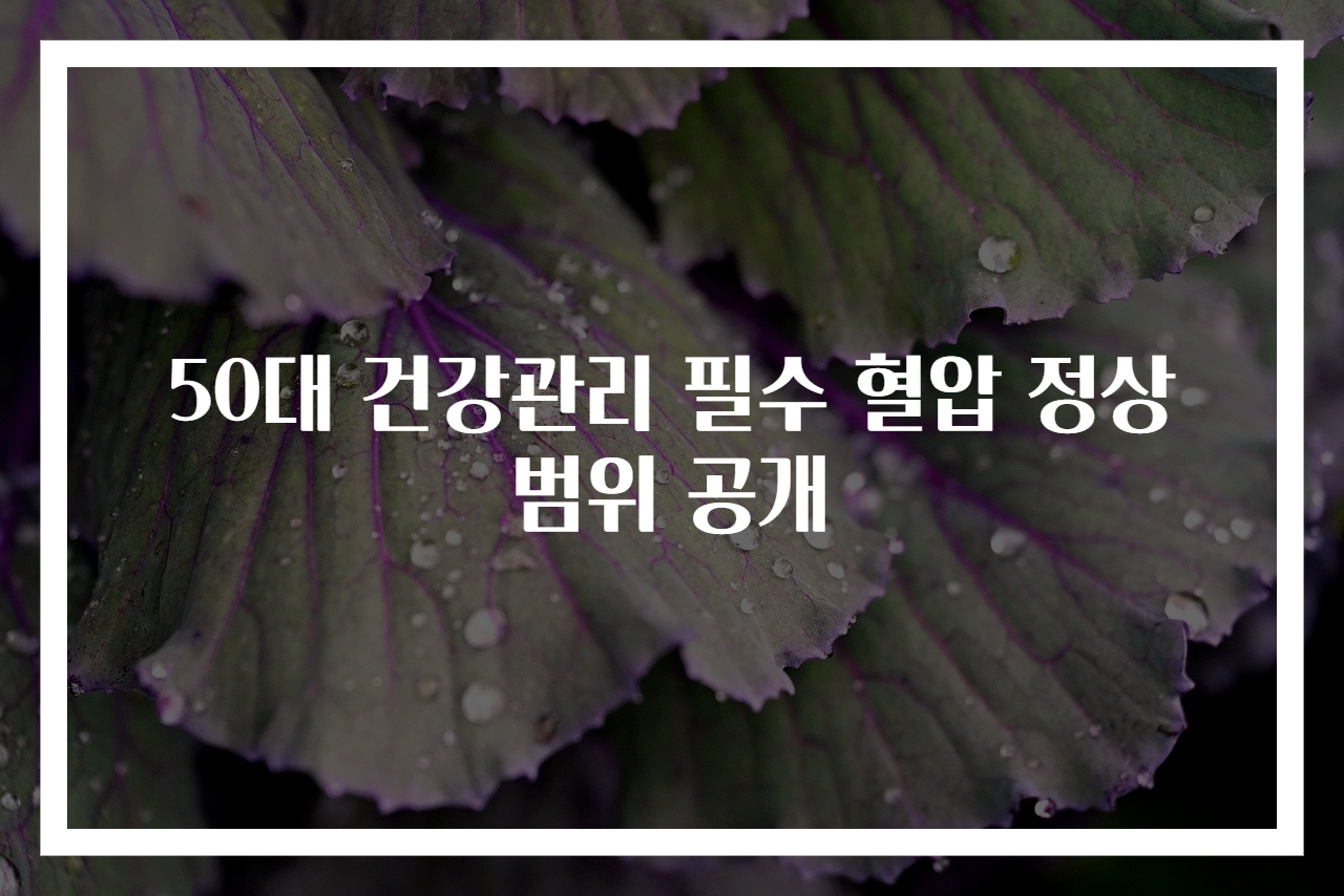 50대 건강관리 필수 혈압 정상 범위 공개