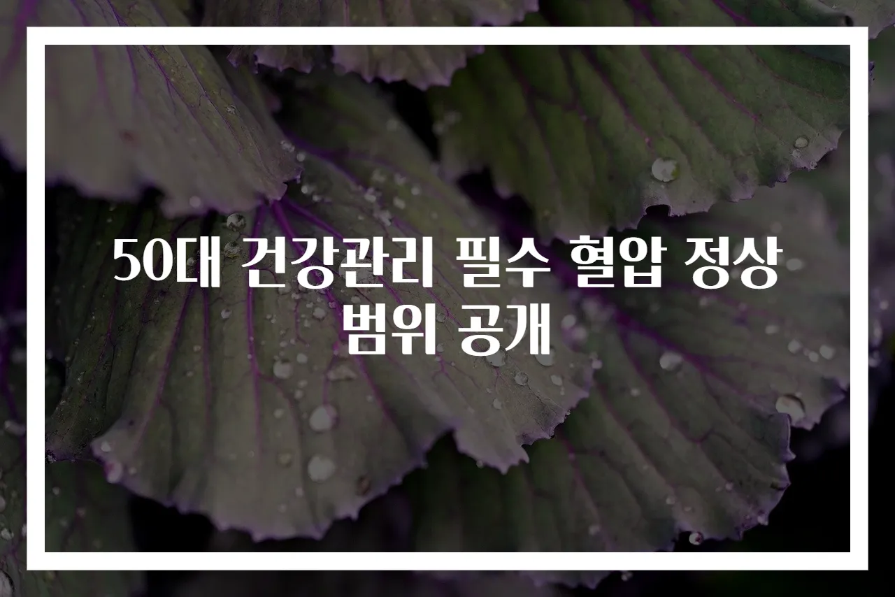 50대 건강관리 필수 혈압 정상 범위 공개