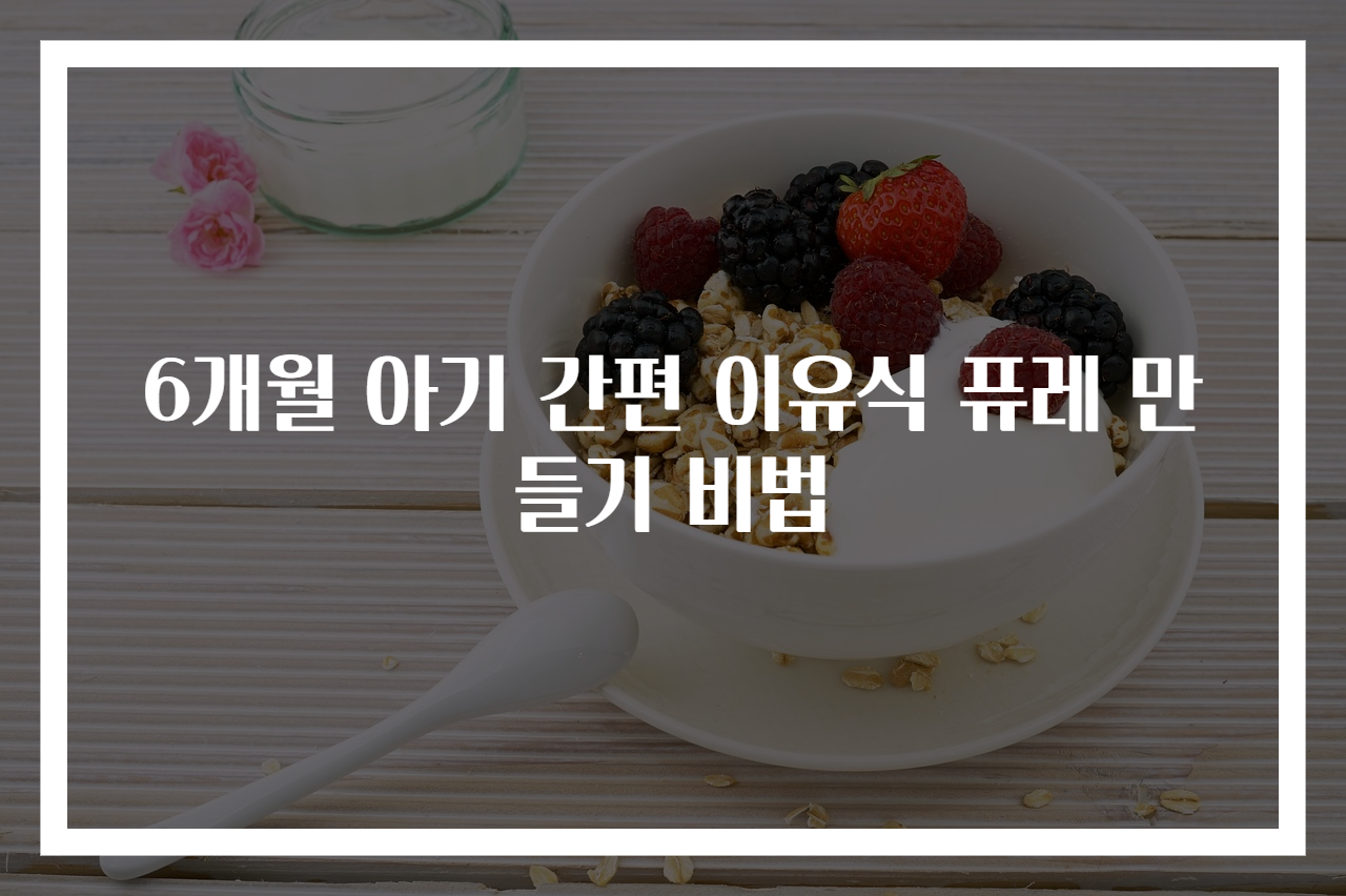 6개월 아기 간편 이유식 퓨레 만들기 비법