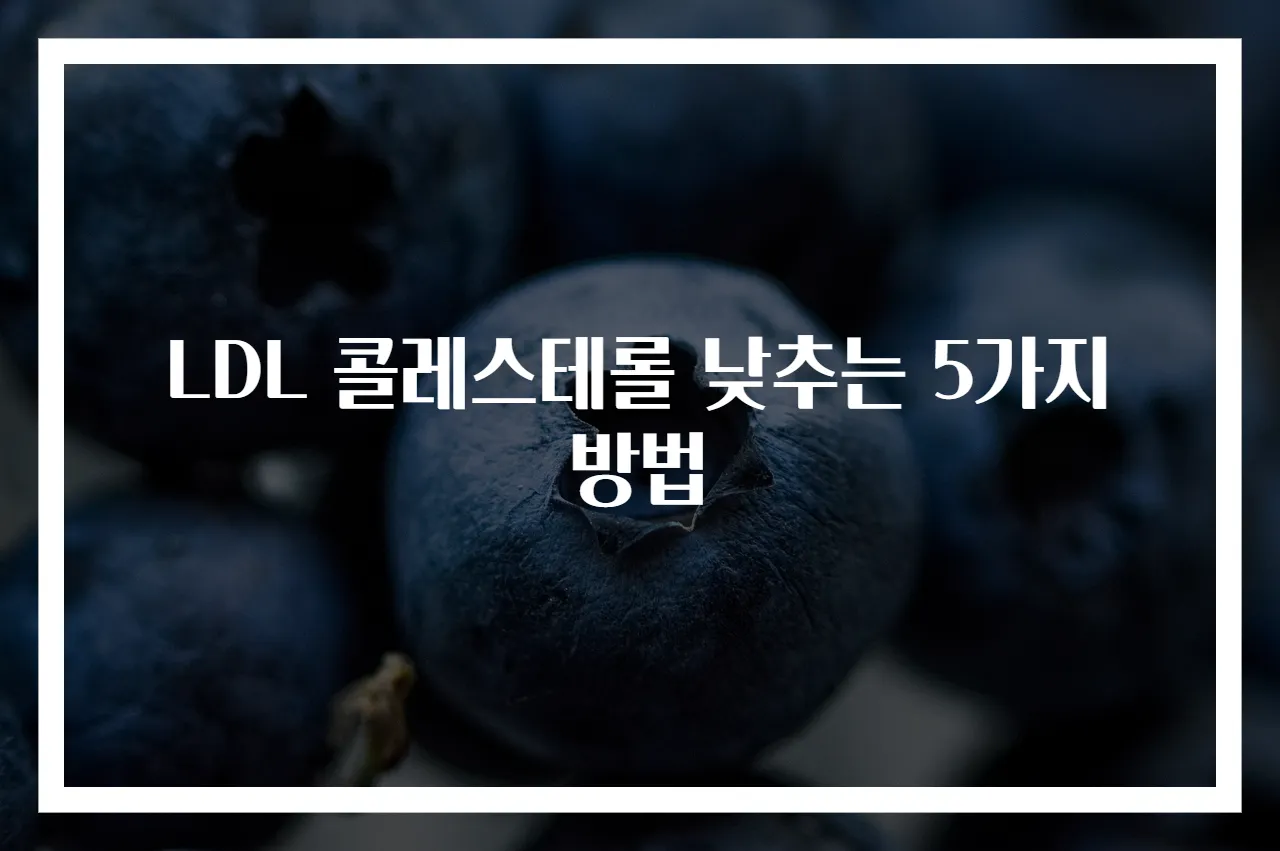 LDL 콜레스테롤 낮추는 5가지 방법