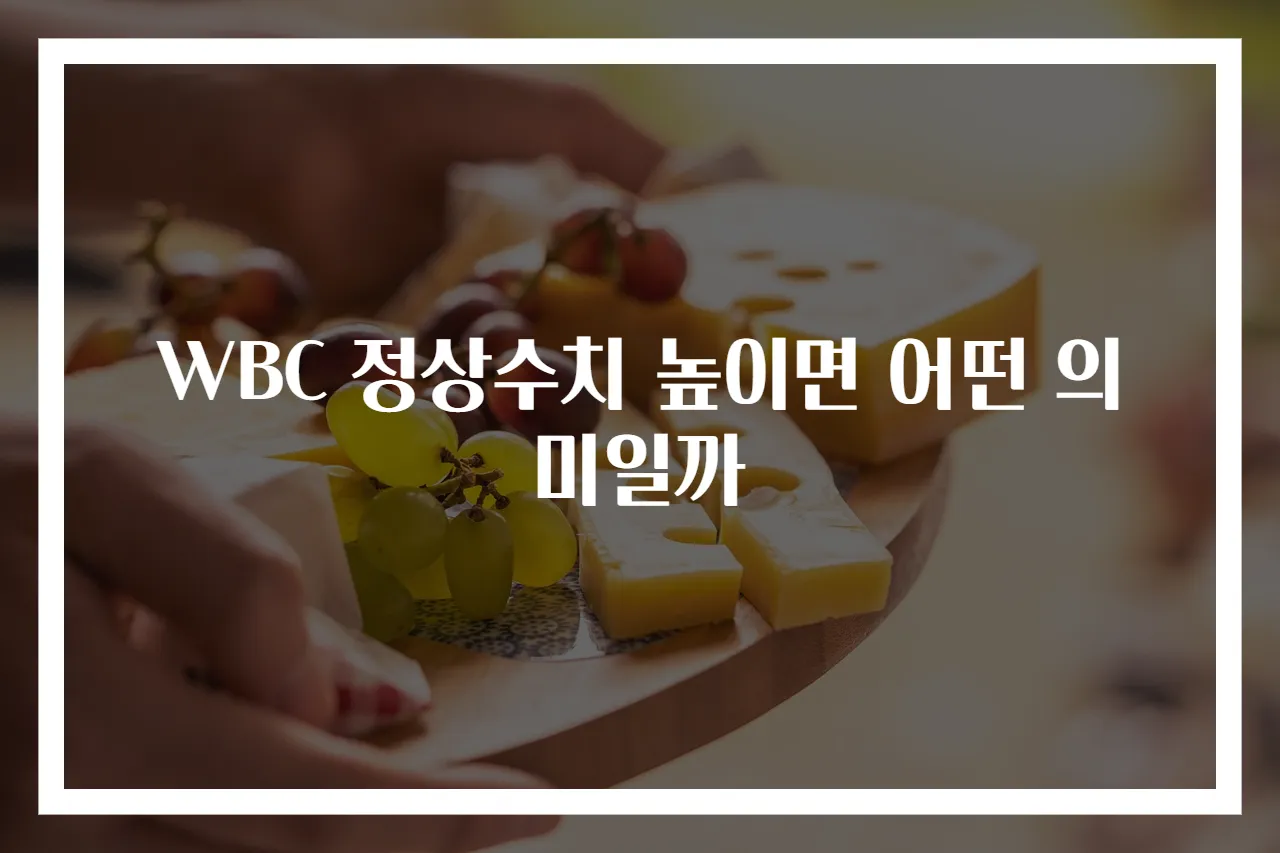 WBC 정상수치 높이면 어떤 의미일까